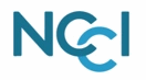 Network for Change and Continuous Innovation Logo